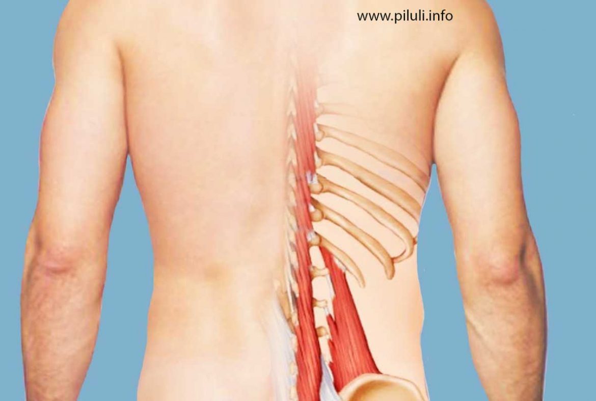 Боли в спине из-за работы
