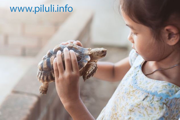 Домашнее животное и ребенок