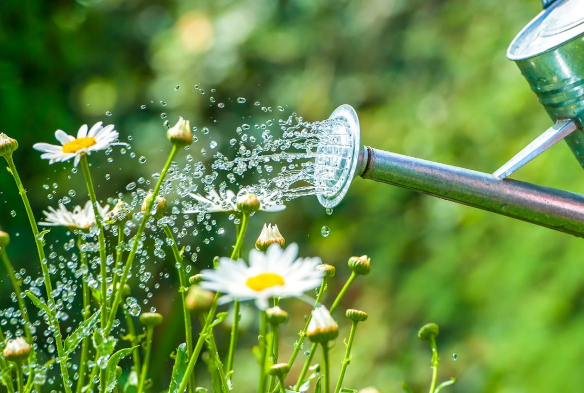 Жизнь с артритом