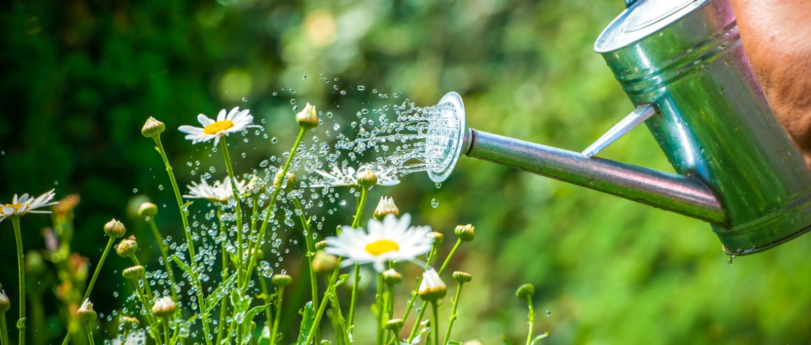 Жизнь с артритом